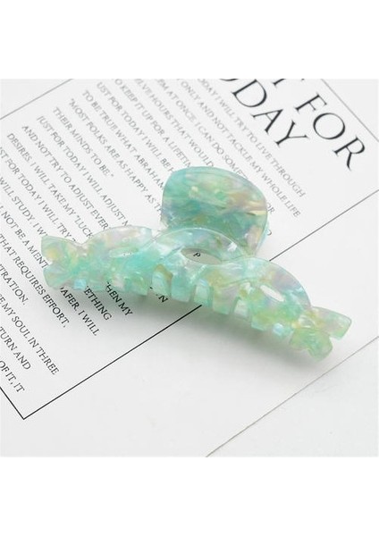 Asetik Asit Plaka Saç Klipsi, Kız Retro Tatlı Klasik Saç Klibi (Yurt Dışından)