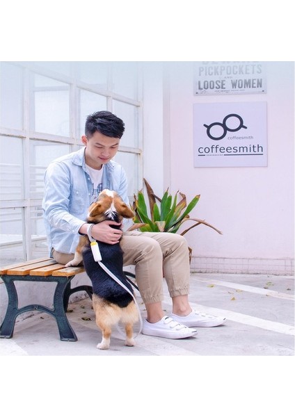 Pet Naylon Tasması, Küçük ve Orta Ölçekli Köpekler ve Köpekler Elastik Anti-Kayıp Tasma (Yurt Dışından)