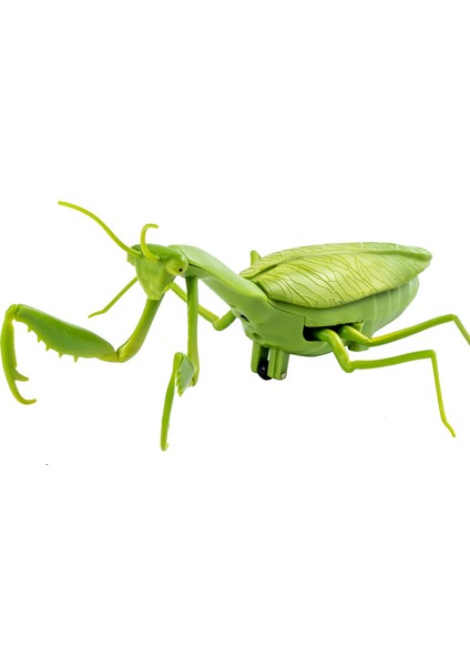 Simülasyon Uzaktan Kumanda Mantis Oyuncak Modeli (Yurt Dışından)