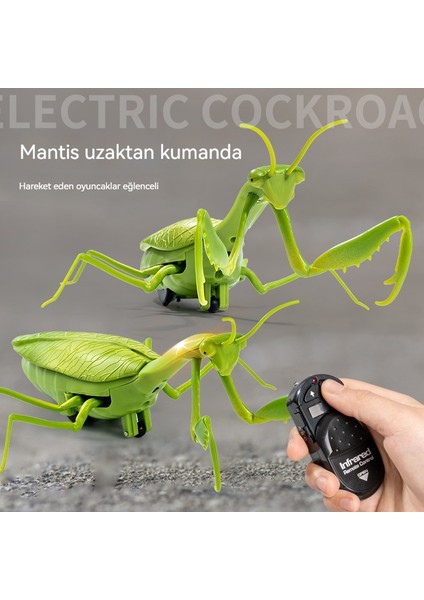 Simülasyon Uzaktan Kumanda Mantis Oyuncak Modeli (Yurt Dışından)