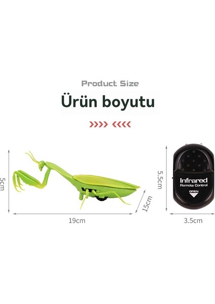 Simülasyon Uzaktan Kumanda Mantis Oyuncak Modeli (Yurt Dışından)