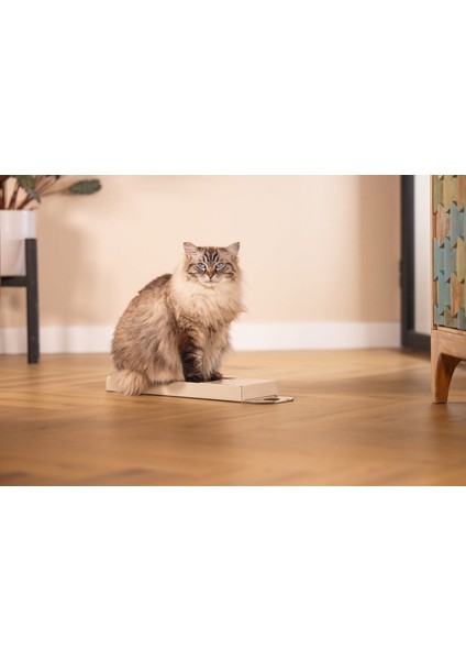 Kedi Karton Tırmalama, Bej, 45CM Nrmsa