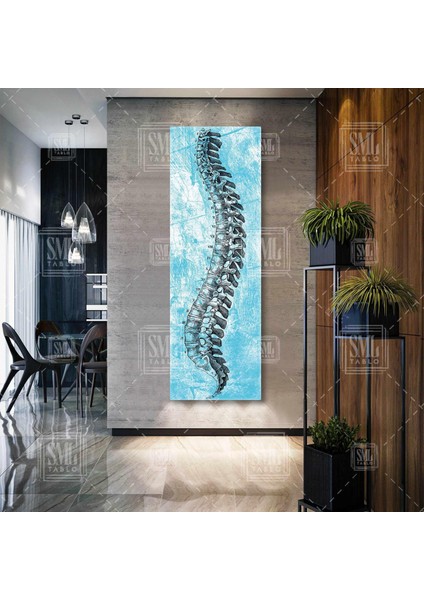 Insan Omurgası Iskelet Kemik Bel Kemiği Ortodonti Doktor Dikey Panaromik Kanvas Tablo