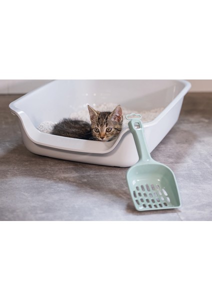 Kedi Kumu Küreği, Açık Yeşil, 27X11X5CM Nrmsa fiyatları