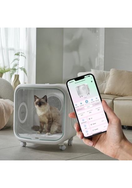 Akıllı Otomatik Kedi Tuvaleti Evcil Hayvan Kurutma Makinesi Premium 6'lı Pet Ürünleri Seti indirimleri