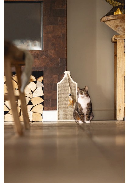 Dbl Kedi Tırmalama Tahtası ve Oyuncağı, 50X20X2CM Nrmsa