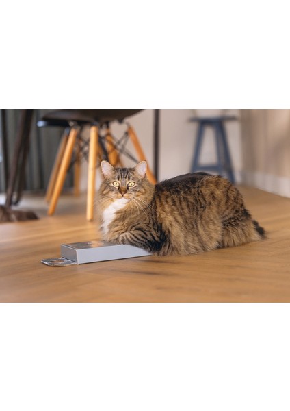 Kedi Karton Tırmalama, Mavi, 45CM Nrmsa