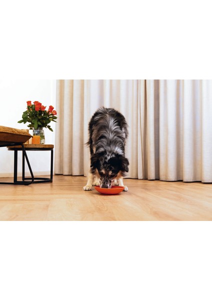 Yavru Köpek Mama Yeme Oyuncağı, Silikon, Kırmızı, 19CM Nrmsa fiyatları