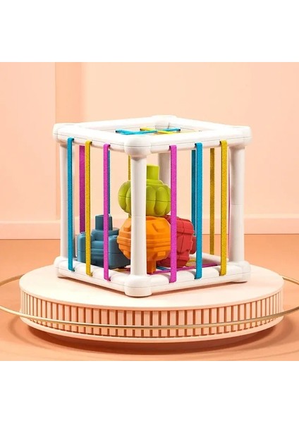 Bebek Şekli Sıralama Oyuncakları Çocuklar Montessori Eğitim Oyuncakları Fine Motor Becerileri Için Elastik Bantlar ile Renkli Duyusal Küp Oyuncakları Renk: Renkli Küp (Yurt Dışından)