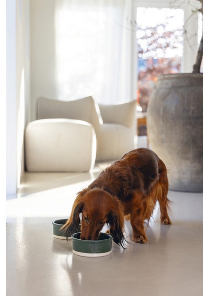 Köpek Mama Su Kabı, Seramik, Mat Yeşil, 13cm, 160ml