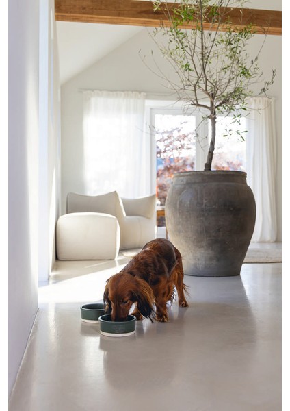 Köpek Mama Su Kabı, Seramik, Mat Yeşil, 13cm, 160ml