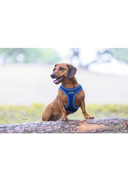 Köpek Göğüs Tasması, Neopren, Mavi, Xs, 30-35CM Nrmsa
