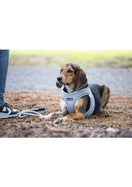 Köpek Göğüs Tasması, Neopren, Yeşil, M, 41-46CM Nrmsa