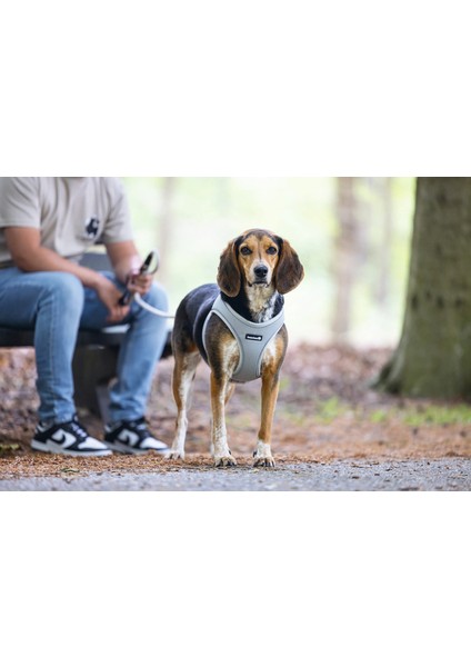 Köpek Göğüs Tasması, Neopren, Yeşil, M, 41-46CM Nrmsa
