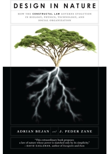 Design In Nature: How The Constructal Law Governs Evolution In Biology, Physics, Technology, And Soc