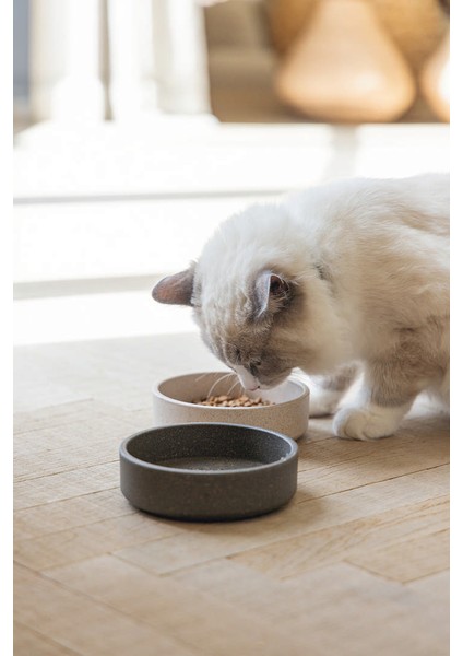 Dbl Kedi Mama Su Kabı, Bambu, Bej 12CM, 250ML Nrmsa
