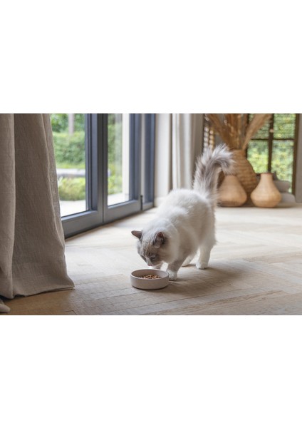 Dbl Kedi Mama Su Kabı, Bambu, Bej 12CM, 250ML Nrmsa