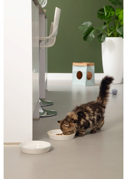 Yavru Kedi Mama Su Kabı, Seramik, Gri Mint, 17,5cmx3,5cm Nrmsa