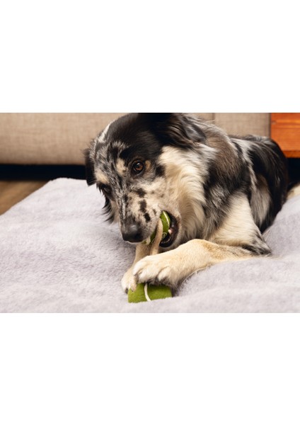 Köpek Oyuncağı, İpli Iki Tenis Topu, Kauçuk, gri/kahverengi, 21cm, Top 6,3cm modelleri
