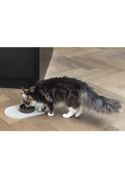 Dbl Mama Su Kabı Servisi, Silikon, Kaymaz, Bej, 45X25X1,5CM Nrmsa