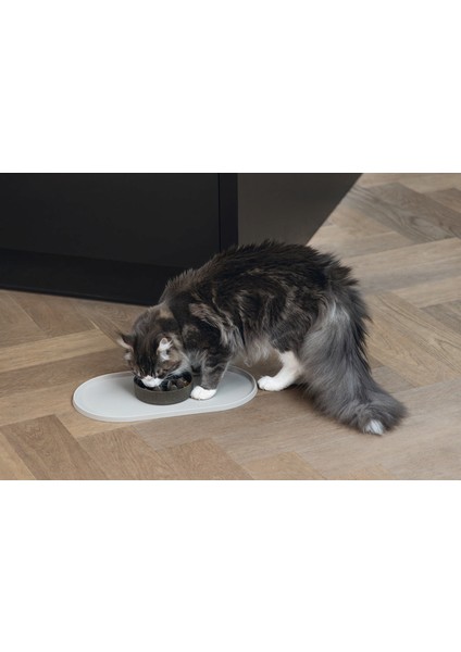 Dbl Mama Su Kabı Servisi, Silikon, Kaymaz, Bej, 45X25X1,5CM Nrmsa