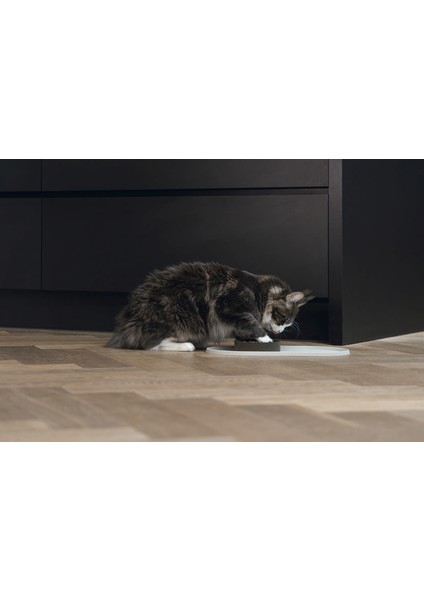 Dbl Mama Su Kabı Servisi, Silikon, Kaymaz, Bej, 45X25X1,5CM Nrmsa
