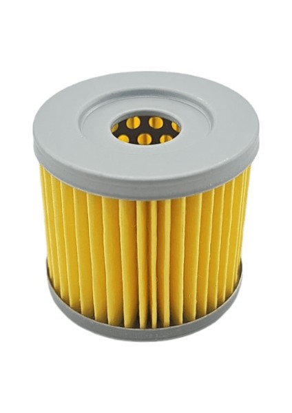 Tvs Apache Rtr 200 Yağ Filtresi