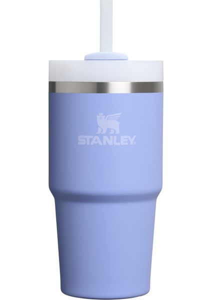 Quencher Pipetli Termos Bardak 0,60 Lt Lila