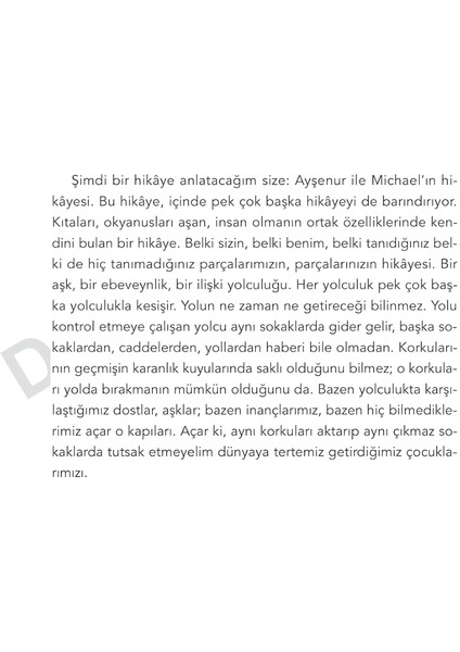 Işığın Yolu - Nilüfer Devecigil