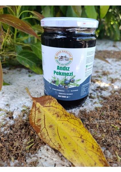 ANDIZ PEKMEZİ 800 GR