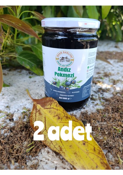 ANDIZ PEKMEZİ 2*800 GR