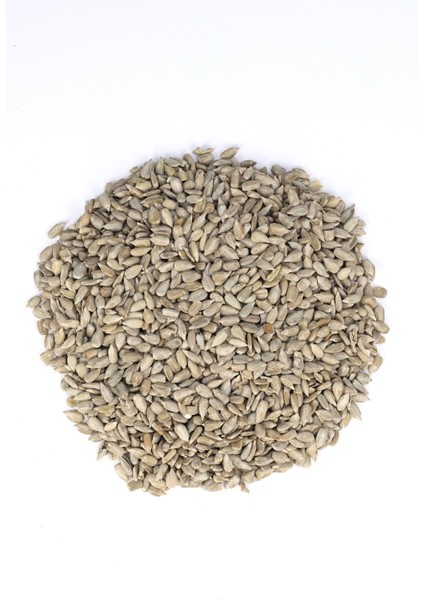 Online Ay Çekirdeği İçi Tuzsuz 100 Gram fırsatları