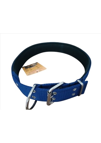 Büyük Irk Köpek Boyun Tasması