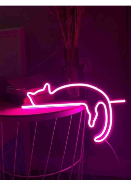 Neon LED Işıklı Kedi