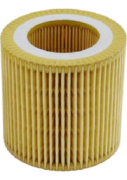 Yağ Filtresi Bmw 1-2-3-4-5 2.0i, 2.5i, 2.8i (12-) (Mann Tipi)