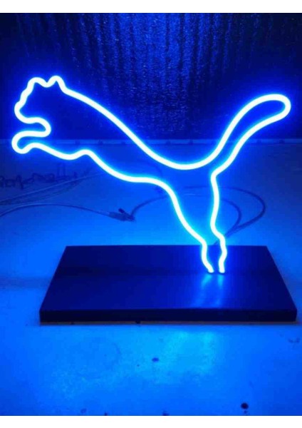 Neon LED Işıklı Kedi