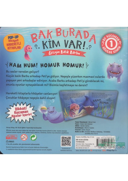 Bak Burada Kim Var Gezgin Balık Barbu / Popup İle Keşfet - Asiye Aslı Aslaner