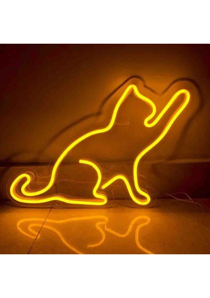 Neon LED Işıklı Kedi