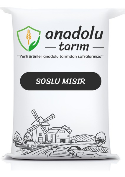 Toz Tarçın 1000 gr