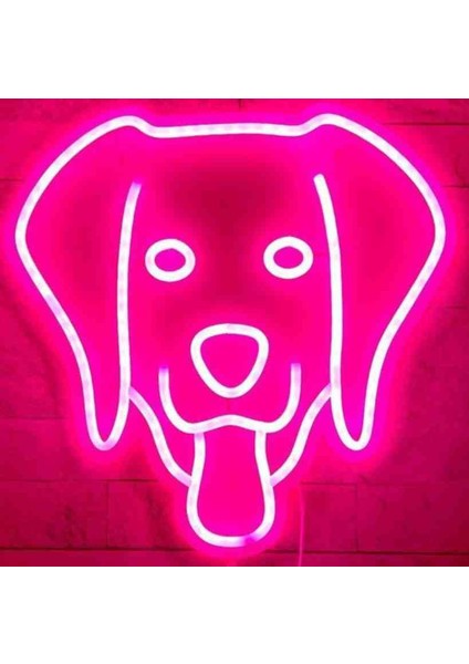 Neon LED Işıklı Köpek