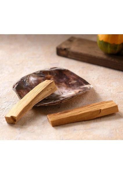 Wish Kit Placuna Enerji Başlangıç Seti : Palo Santo Tütsü ve Placuna Deniz Kabuğu Tütsülük