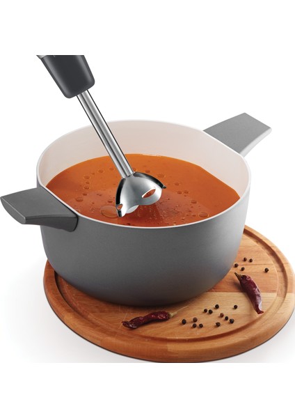 Fl194-0100 Blenix El Blender Siyah