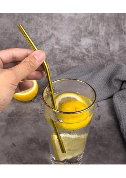 Paslanmaz Gold Çelik Pipet ve Temizlik Fırçası 3 Parça Set Pratik Ürünler Sunum ve Kokteyl Ürünleri indirimleri