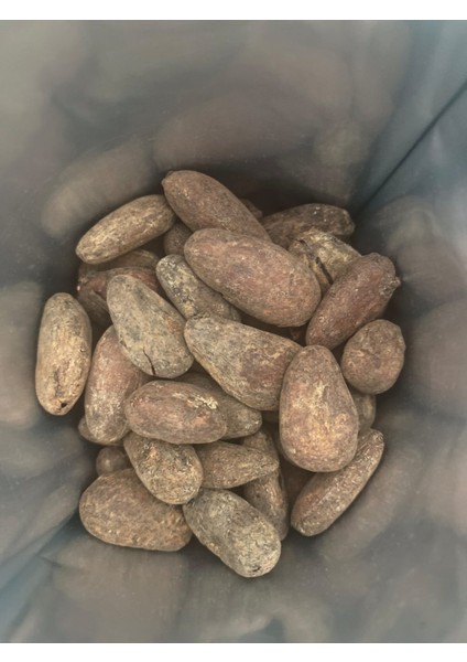Honduras Kakao Çekirdeği 500 gr modelleri