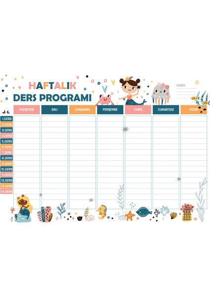 Statik Kağıt Haftalık Ders Programı (Model -2) 70 cm x 98 cm Nrmsa