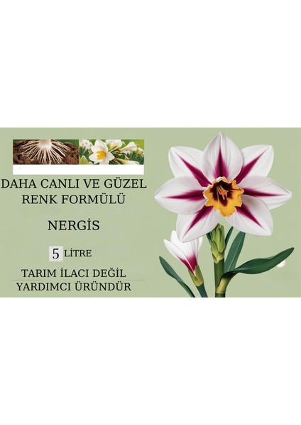 Doğal Daha Canlı ve Güzel Renk Formülü(Nergis) fiyatları