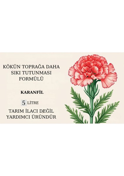 Doğal Kökün Toprağa Daha Sıkı Tutunması Formülü(Karanfil) fiyatları