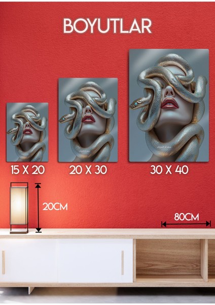 Yılan Motifli Kadın - Metal Baskı Dekoratif Duvar Tablosu modelleri
