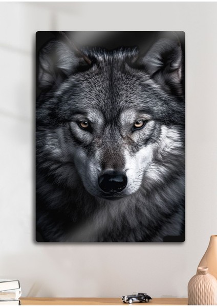 Alfa Kurt - Metal Baskı Duvar Tablosu