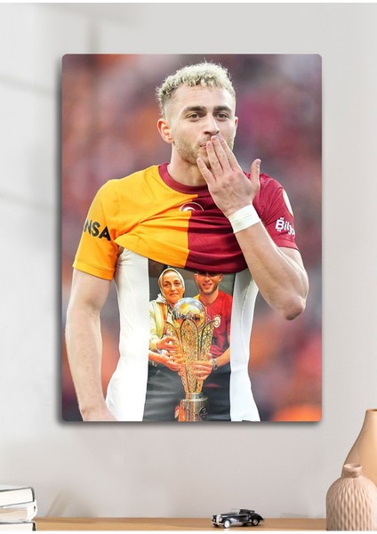 Barış Alper Yılmaz Bay - Metal Tablo